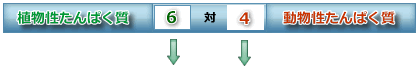 植物性たんぱく質6対動物性たんぱく質4