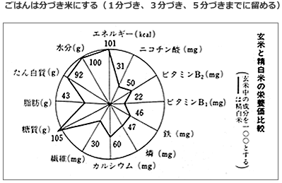 玄米と精白米の栄養価比較